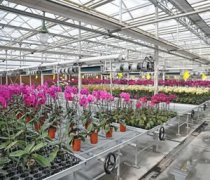 移動苗床分為幾種?什么材質(zhì)的是好的?—華耀農(nóng)業(yè)